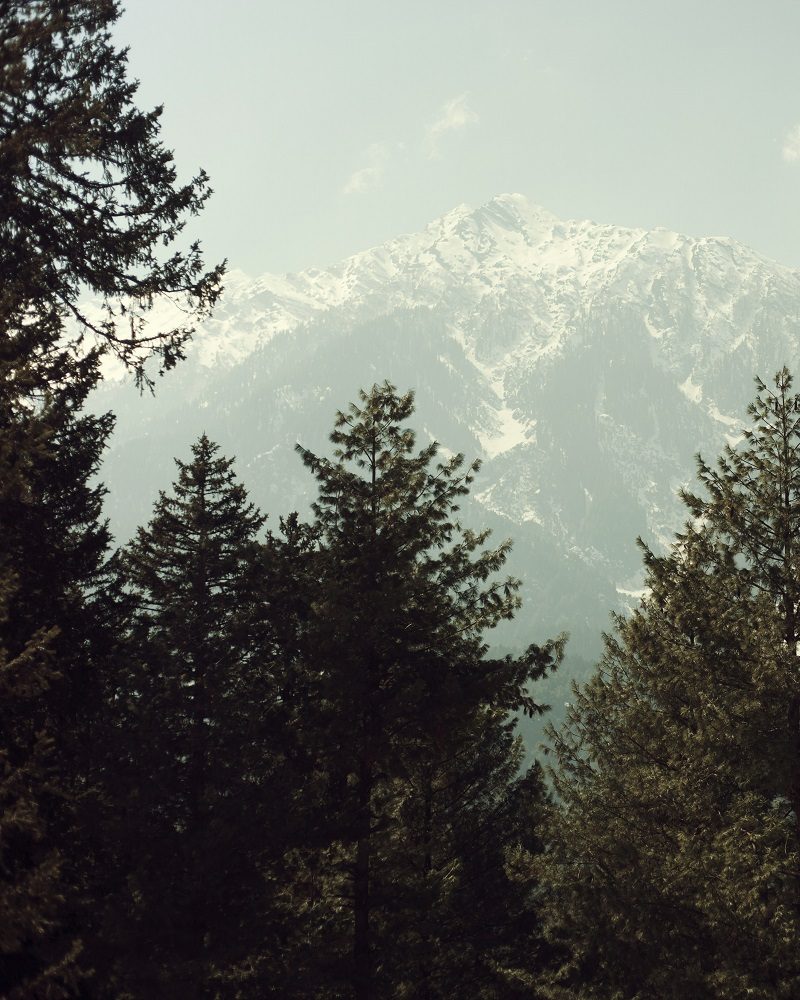 aimanness-harun-nldzxr1S7zU-unsplash-1