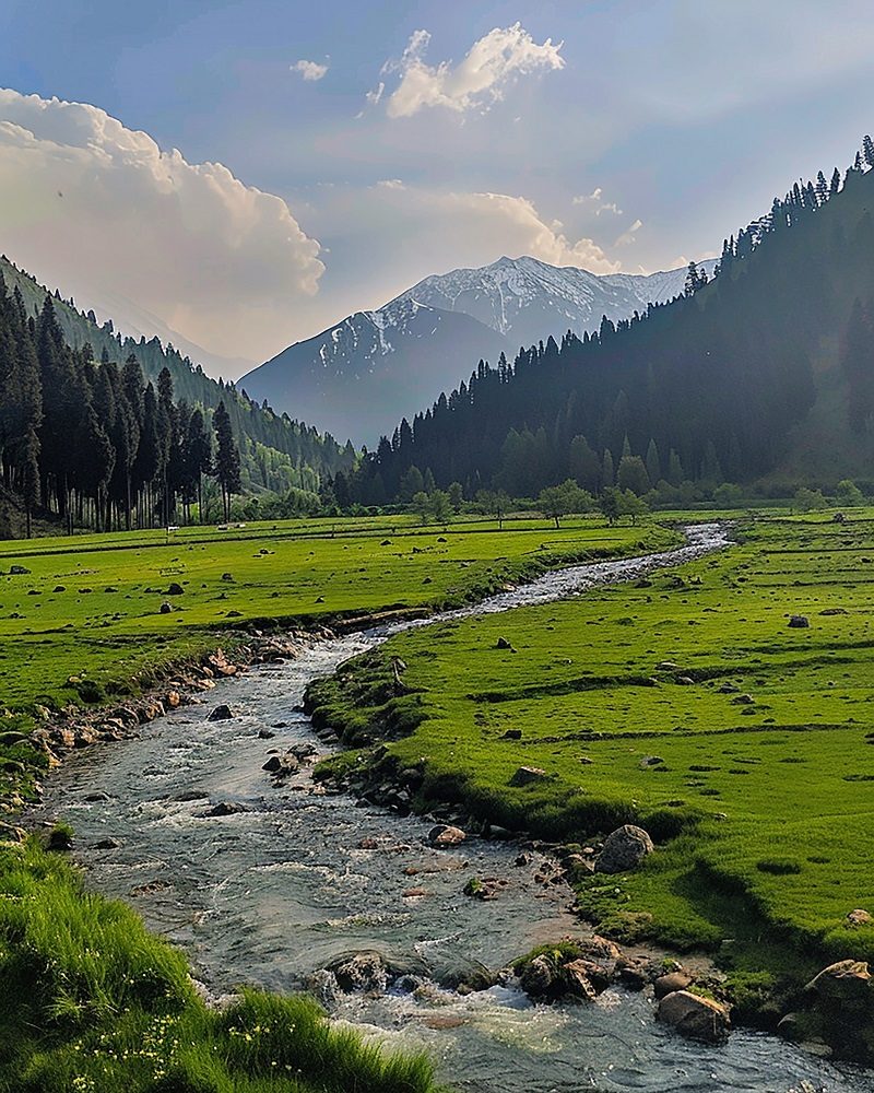 ethereal-beauty-betaab-valley-kashmir1