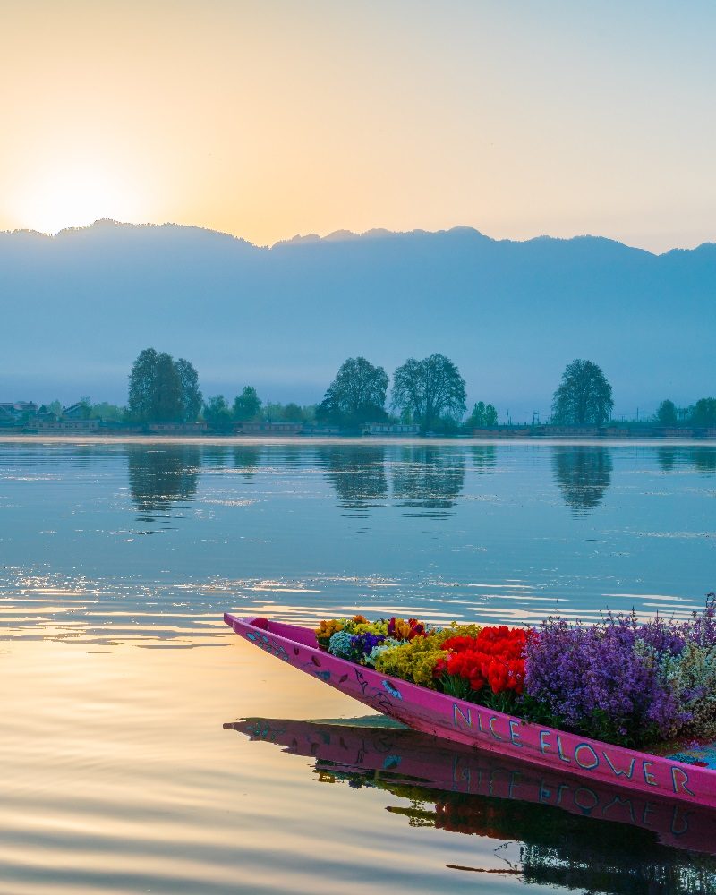 Sunrise on Dal lake, Kashmir India